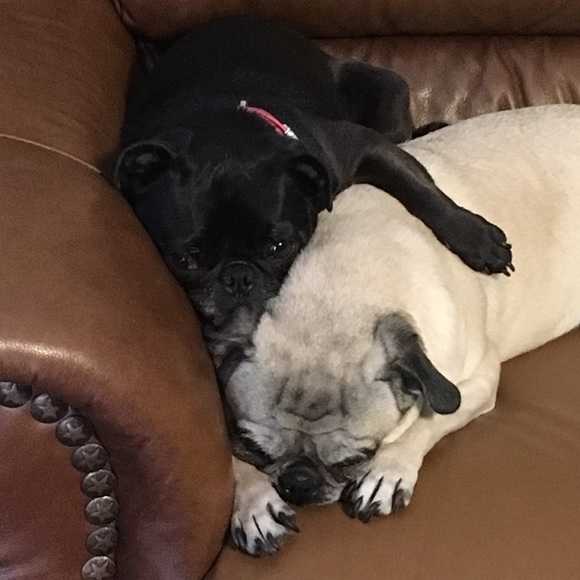 Stack and save! - Picture 3 of 3